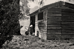 Work Shed 